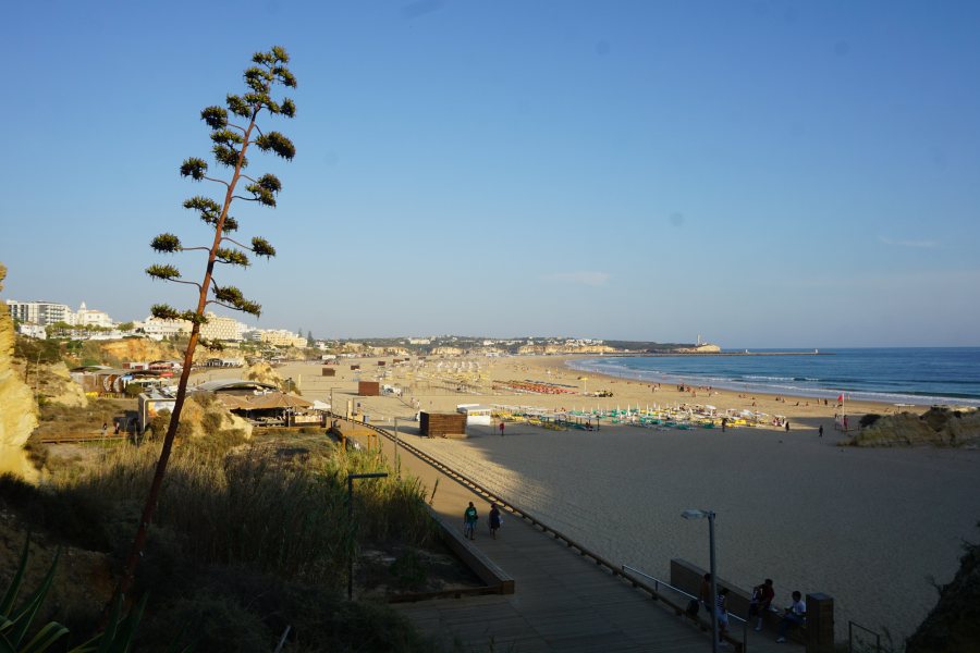 portimao praia da rocha